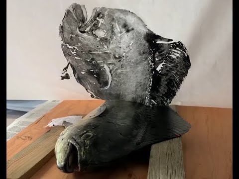 Rubbah Hooks - Tried to Boost the Buggah - Hawaii Kayak Fishing