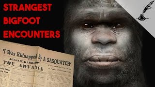 5 Strangest Bigfoot Encounters in History