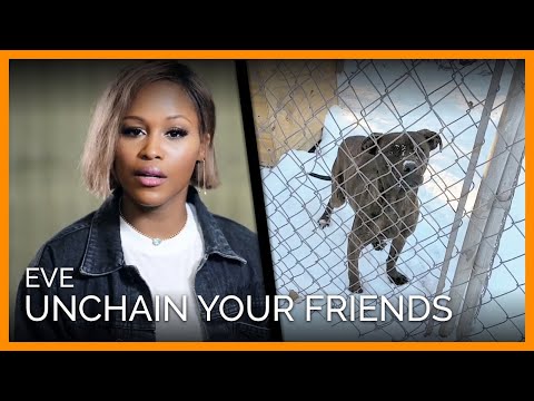 Eve - Unchain Your Friends