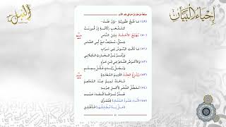 شرح منظومة صنعة من طب لمن حب في علم الأدب | اللقاء الرابع image