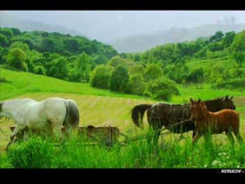 KERUCOV .ro: Traseu MTB Sighisoara - Prod - Copsa Mare - Biertan