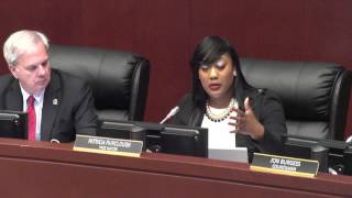 1.18.2017  Council Meeting