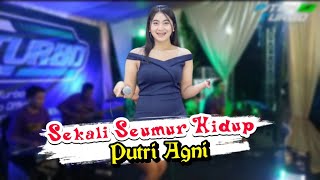 Download lagu SEKALI SEUMUR HIDUP || PUTRI AGNI || PITEK TURBO MUSIK LIVE SRONO mp3