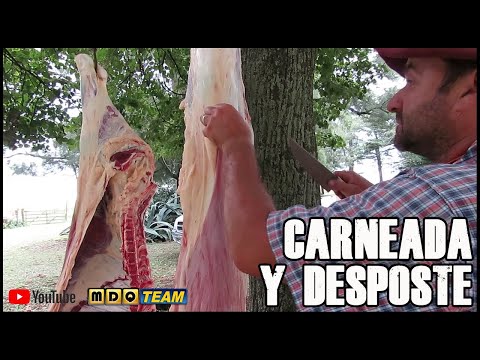 Field Meating and Boning