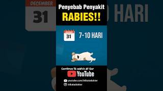 Download lagu What causes rabies? #uniquefacts #health #doctorinfo #doctorsays #education #animation mp3 Download lagu What causes rabies? #uniquefacts #health #doctorinfo #doctorsays #education #animation mp3