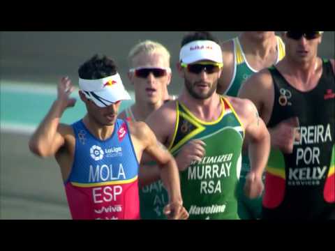 2017 World Triathlon Abu Dhabi - Elite Men's Highlights