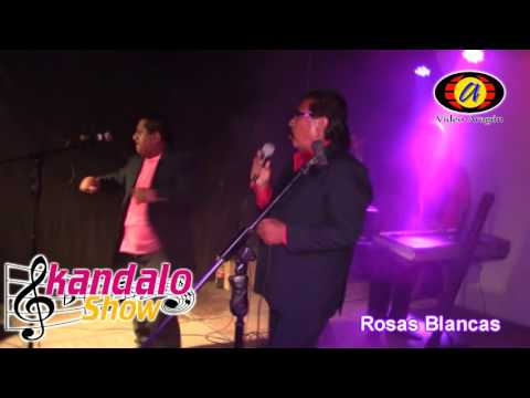 ROSAS BLANCAS SKANDALO SHOW
