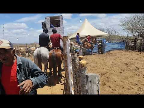Casserengue PB Evento de Bolão de Vaquejada Organização aAgaroba 