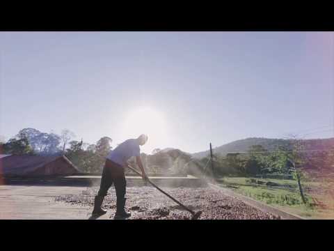 EcoMúsica | Sabiá | Isidoro Chocolate