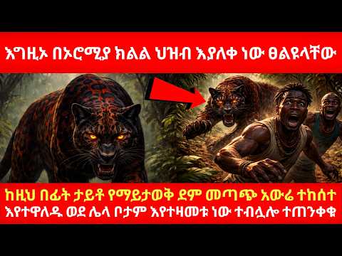 እግዚኦ በኦሮሚያ ክልል ህዝብ እያለቀ ነው ፀልዩላቸው ከዚህ በፊት ታይቶ የማይታወቅ ደም መጣጭ አውሬ ተከሰተ እየተዋለዱ ወደ ሌላ ቦታም እየተዛመቱ ነው ተብሏሎ