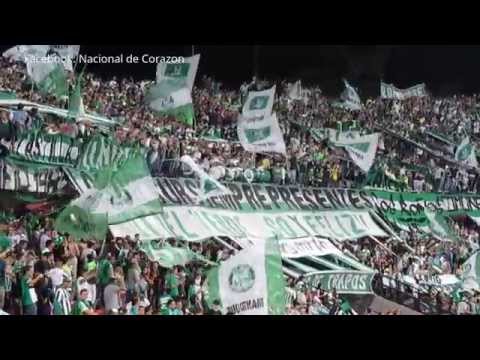 Atletico Nacional 1 vs alianza petrolera 0 / Canticos Los Del Sur [HD]