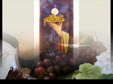 Diante Do Altar video