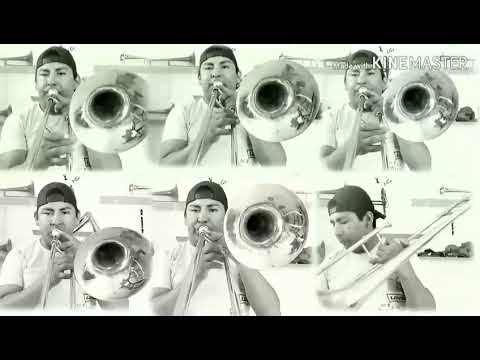 Victor Sanchez - Cover Camila Cabello - Havana trombone