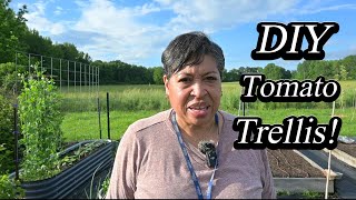 Grow Your Own TOMATOES with a DIY Trellis!