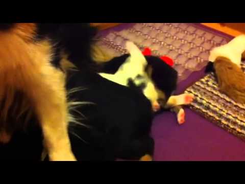 Luna - bike pumping milk