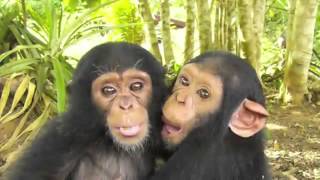 Tyrone Wells Running Around in My Dreams with lyrics 2