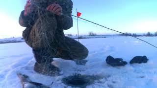 Рыболовный экрана для зимней рыбалки
