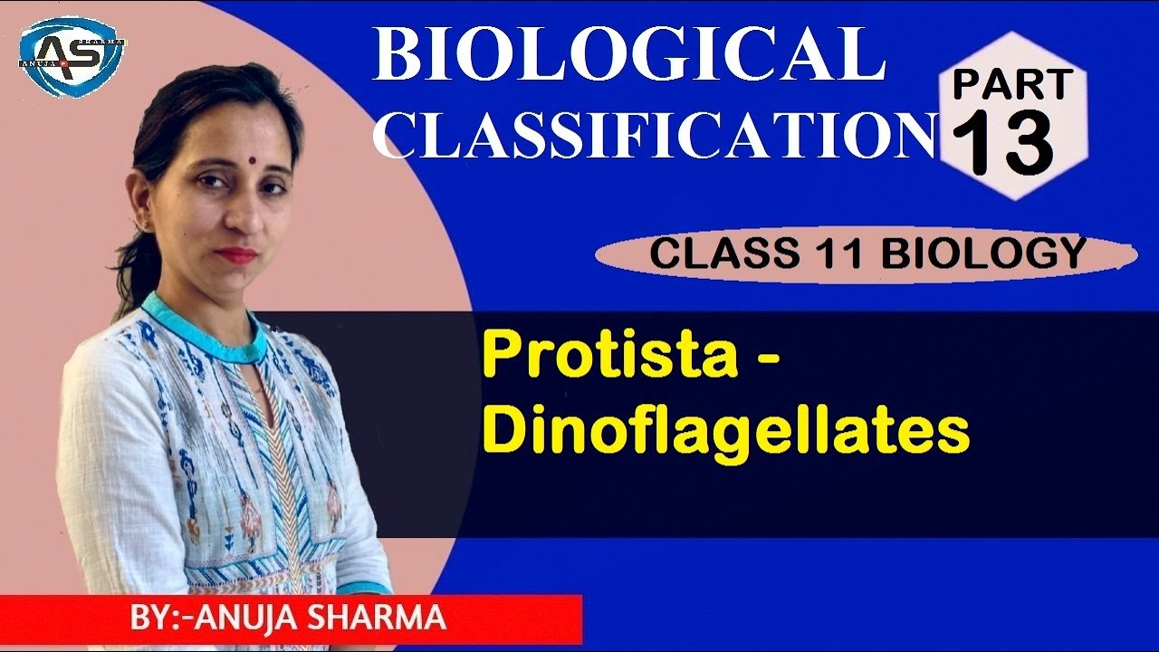 BIOLOGICAL CLASSIFICATION - DINOFLAGELLATES