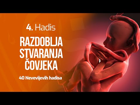 4. HADIS - Razdoblja stvaranja čovjeka | 40 Nevevijevih hadisa | dr. Zijad Ljakić