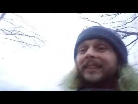 Halifax ma witch graveyard lynching tree