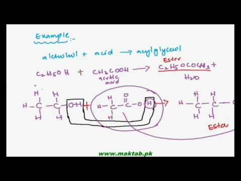 FSc Biology Book1, CH 2, LEC 6: Classification of Lipids-1