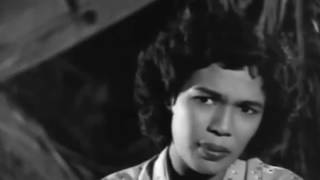 Download lagu Nak Dara Rindu (P. Ramlee) Filem 1957 Bujang Lapok mp3 Download lagu Nak Dara Rindu (P. Ramlee) Filem 1957 Bujang Lapok mp3