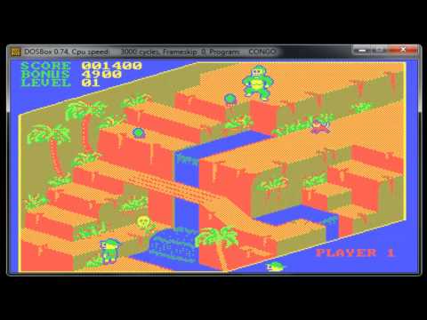 Let's Compare ( Congo Bongo )