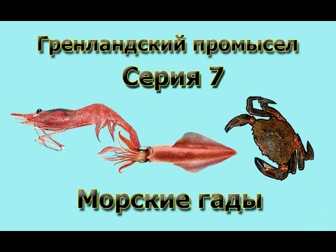 Русская Рыбалка 3.99 Гренландский промысел 7 - Морские гады