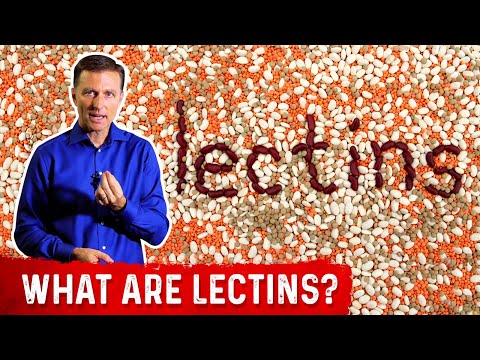 What Are Lectins? – Dr. Berg