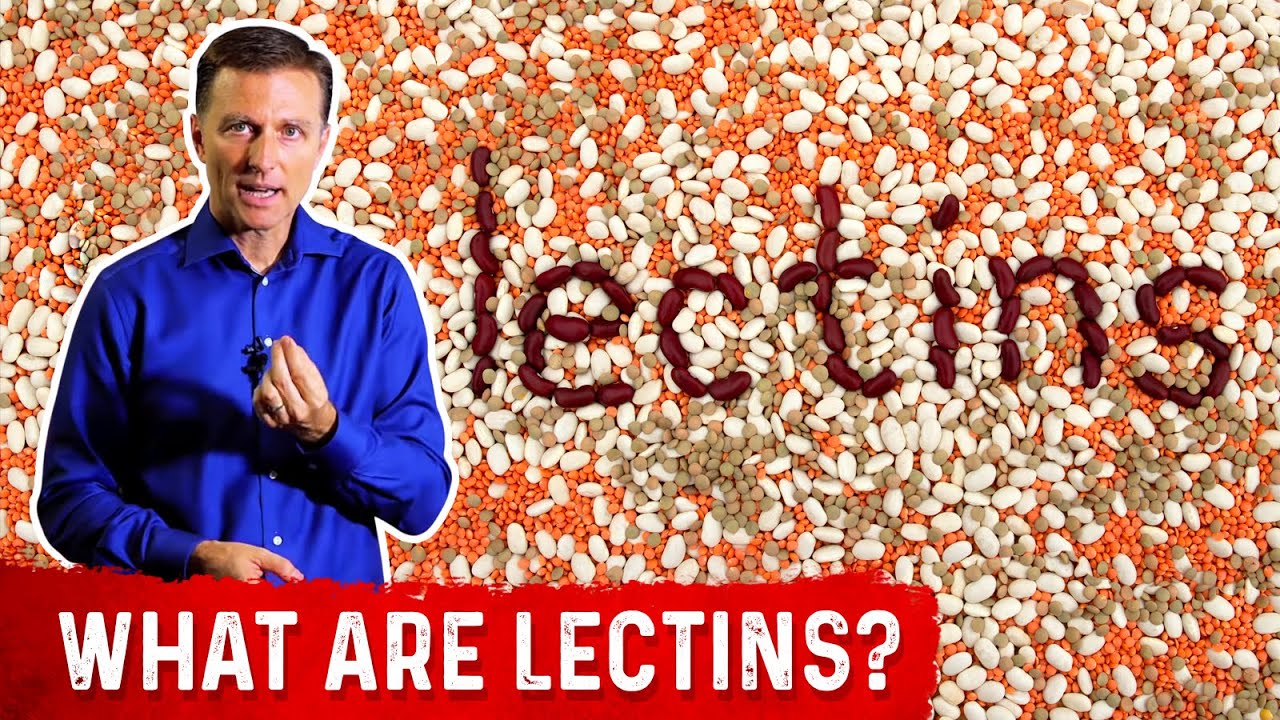 What Are Lectins? – Dr. Berg - YouTube