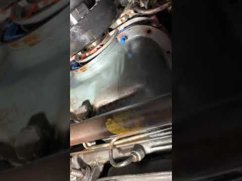 Oil pan gasket Ford 302