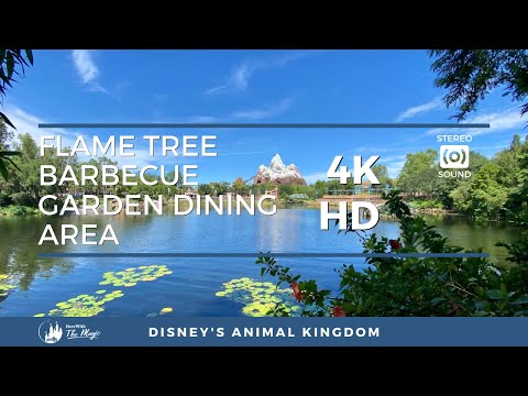 Animal Kingdom's Dining Gardens of Flame Tree Barbecue (4K HD) 1 HOUR LOOP