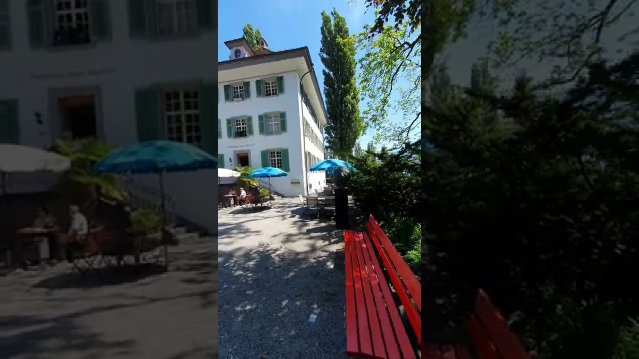 YouTube Short thumbnail