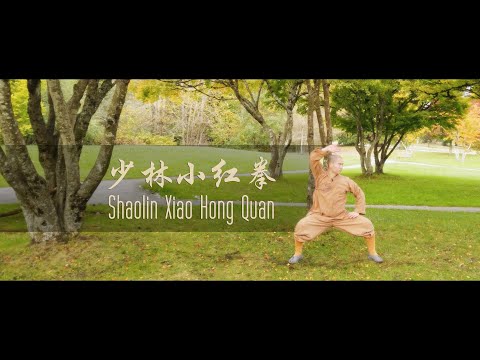 Shaolin XiaoHong Quan ( 少林小红拳) with  Master Shi Yandi (释延荻)