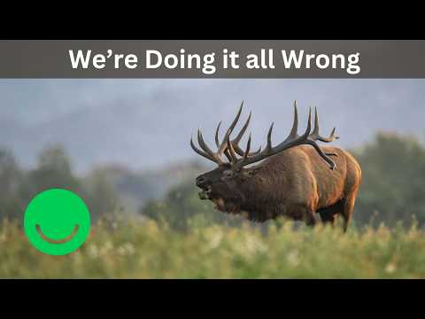 We've Been Doing Conservation Wrong (Here's What Actually Works)