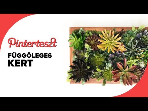 Függőleges kert | Pinterteszt