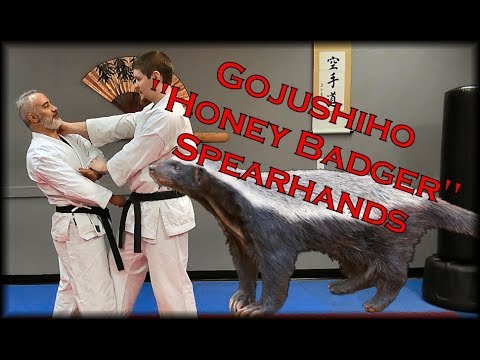 Waza Wednesday 1/31/18 - Gojushiho "Honey Badger" Spear Hands with Bubishi References