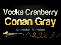 Conan Gray Vodka Cranberry Karaoke Version