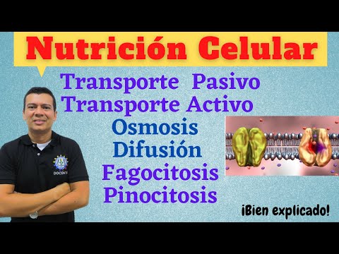 NUTRICION CELULAR. TRANSPORTE ACTIVO Y PASIVO, FAGOCITOSIS, DIFUSION, OSMOSIS, PINOCITOSIS.