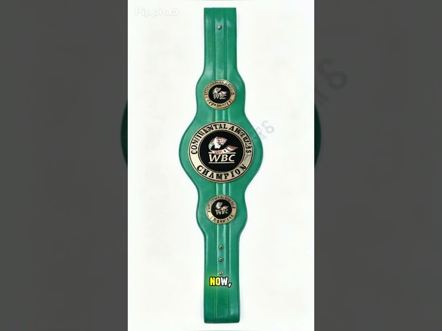 Vídeo relacionado con WBC Championship Boxing Belt 3D Réplica de títulos para adultos