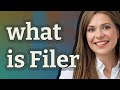 Filer | meaning of Filer