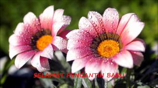 Download lagu JOGET MALAM BERINAI - SANISAH HURI mp3