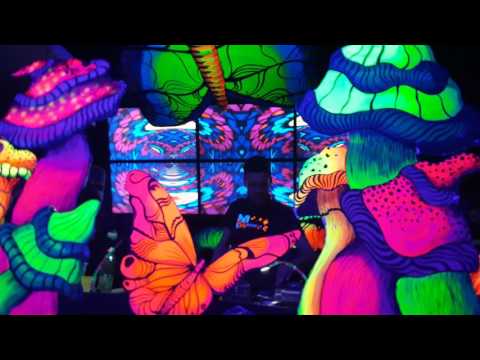 DJ STOLE Xperiment Psytrance Night Club Plastic