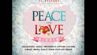 Gyptian - Journey (Peace & Love Riddim)