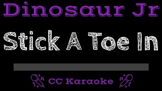 Dinosaur Jr   Stick a Toe In CC Karaoke Instrumental