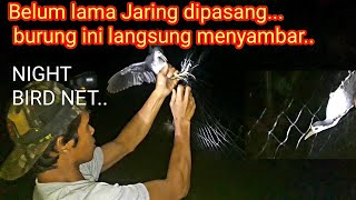 Download lagu JARING BURUNG RUAK RUAK MALAM HARI BELUM LAMA DIPA... mp3