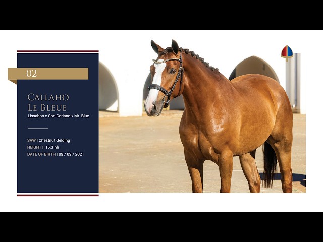 Callaho Le Bleue