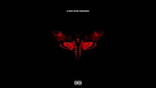 Lil Wayne - Rich As F**k