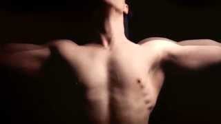 WIFE - HEART IS A FAR LIGHT