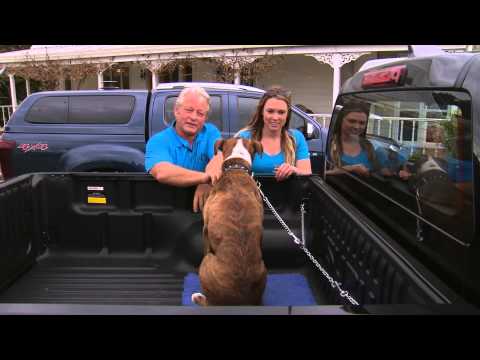 YouTube video about: How to secure dogs in truck bed?